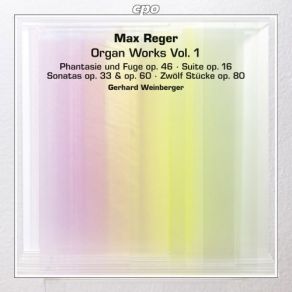 Download track 08 Organ Sonata No. 2 In D Minor, Op. 60 - I. Improvisation Allegro Con Brio Max Reger