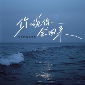 Download track 你说你会回来 孙鹏凯