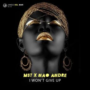 Download track I Won't Give Up (Radio Edit) Nao André