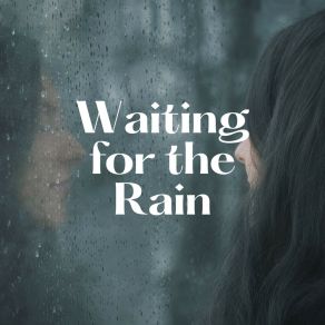 Download track Pure Rain, Pt. 25 Clear Mind Raining