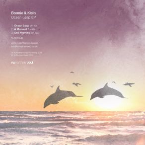 Download track Ocean Leap (Original Mix) Bonnie