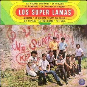 Download track La Traicionera Super Lamas