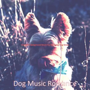 Download track Spectacular Music For Doggy Training Dog Music Romance