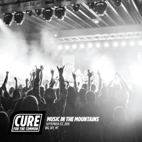 Download track Funk Emission (Live) Cure For The Common