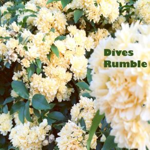 Download track Big Dives Rumble