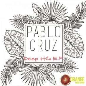 Download track Water (Original Mix) Pablo Cruzy