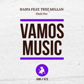 Download track Flash Fire (Radio Edit) Haipa