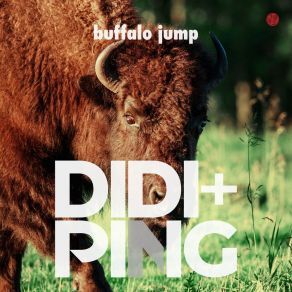 Download track Buffalo Jump (Extended Mix) Didi