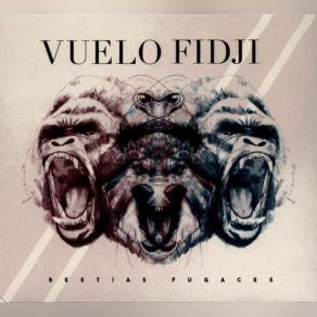 Download track Vuela Vuelo Fidji