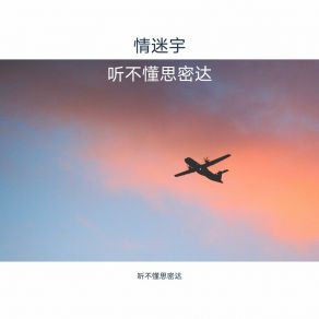 Download track 听不懂思密达 情迷宇