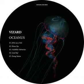 Download track Manta Ray (Original Mix) Vizard