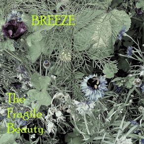 Download track Moth In A Flame The Breeze