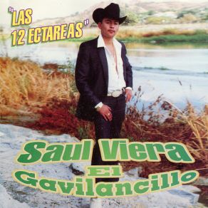 Download track La Vida Del Hombre Saul Viera 