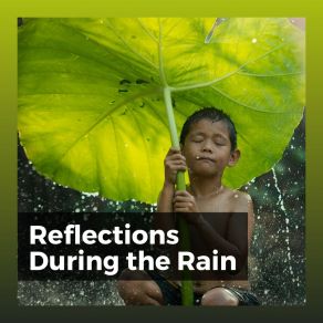Download track Unexpected Rainy Day Rainforest Sounds