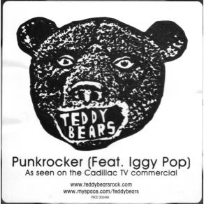 Download track Punkrocker (Album Version) Iggy Pop, Teddybears