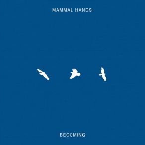 Download track Shimmer Mammal Hands