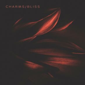 Download track Charms (Original Mix) Pimo