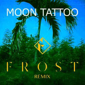 Download track Moon Tattoo (Frost Remix) Sofi Tukker