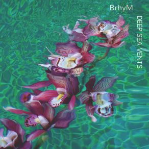 Download track Deep Sea Vents Bruce Hornsby, YMusic, BrhyM