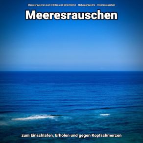 Download track Natürliche Landschaft Meeresrauschen