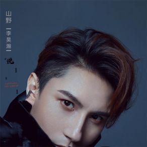 Download track 你离开以后 Shan Ye