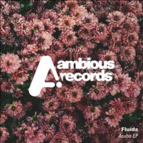 Download track Asuba (Original Mix) Fluida