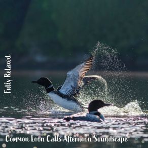 Download track Common Loon Calls Afternoon Soundscape, Pt. 2 Steve Brassel