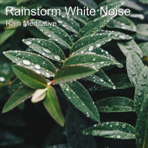 Download track Heavy Rain & Gentle Thunder Rain Meditative