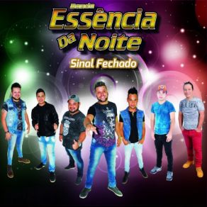 Download track A Culpada É Você Banda Essência Da Noite