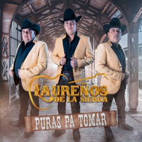 Download track 4 Milpas Laureños De La Sierra