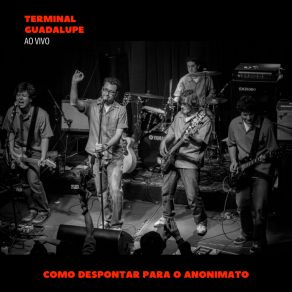 Download track Bons Meninos Vão Para O Inferno (Ao Vivo) Terminal Guadalupe