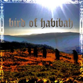 Download track Red-Throated Loons On Tequila Bird Of Habibah