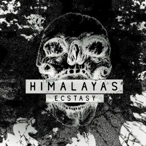 Download track How Do You Sleep? Himalayas