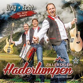 Download track Es Braucht A Musi' Zillertaler Haderlumpen