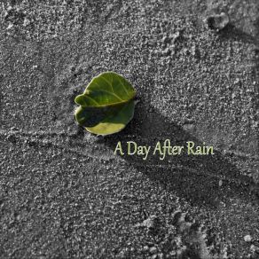 Download track A Day After Rain Beaver Randolph