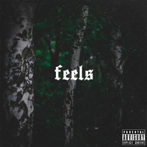 Download track Feels Robin Wood