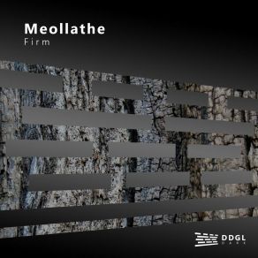 Download track Firm (Original Mix) Meollathe