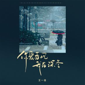 Download track 你爱春风 我在深冬 王一佳