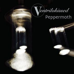 Download track Light On Mars Peppermoth