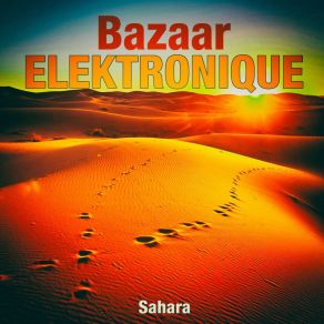 Download track Haiker Bazaar Elektronique