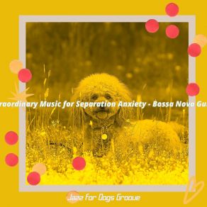 Download track Tranquil Sweet Dogs Jazz For Dogs Groove