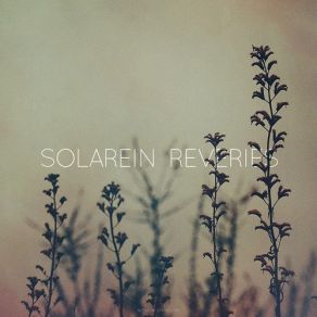 Download track Rain Solarein