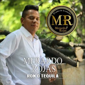 Download track Que Vas A Hacer Con Ese Amor Merardo Rojas