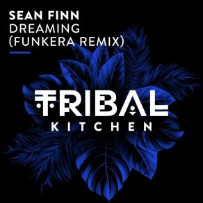 Download track Dreaming (Funkera Extended Remix) Sean FinnFunkera