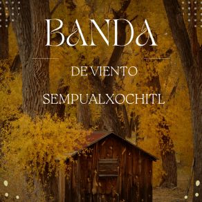 Download track Los Huaraches Banda De Viento Sempualxochitl