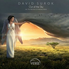 Download track Out Of The Sky (Original Mix) David Surok