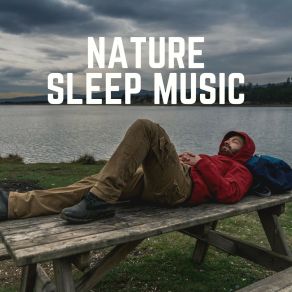 Download track At One With Nature, Pt. 5 Natures Orchestra