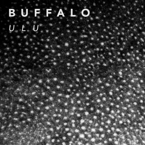 Download track Balea Buffalo