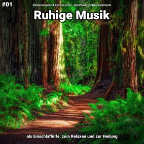 Download track Ruhige Musik Pt. 4 Entspannungsmusik