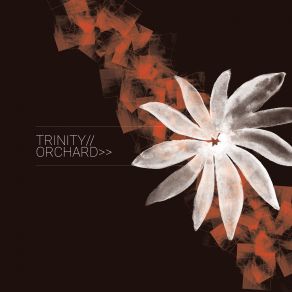 Download track Orchard (Didier Beydts 808 Remix) The Trinity